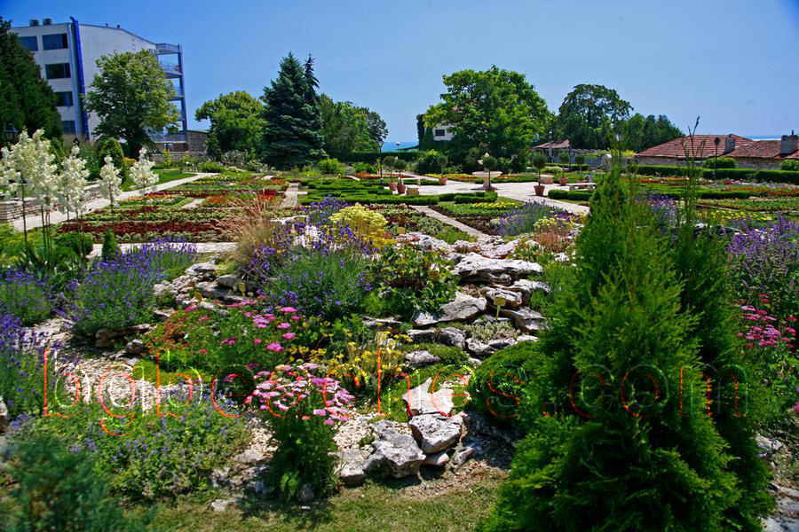 В Ботаническата градина има невероятните паркове, тераси, градини и уханни цветя. 