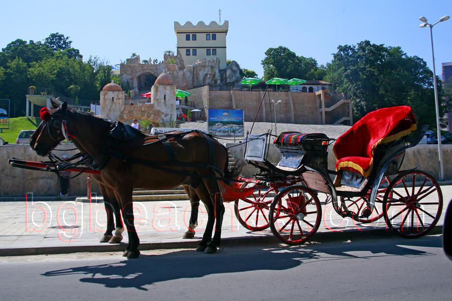 This is an exotic cart with horses which can be hired in Golden Sands.