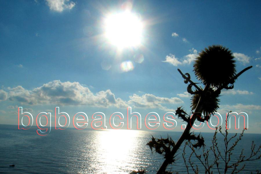 This contrast of a thistle against the sun and the sea is a hint about the controversial nature of the Bulgarian seaside.