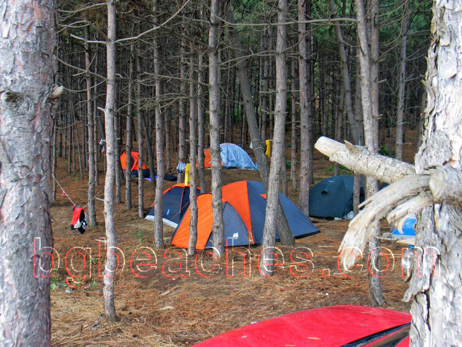 This is another photo showing tents in the woods of Karadere.