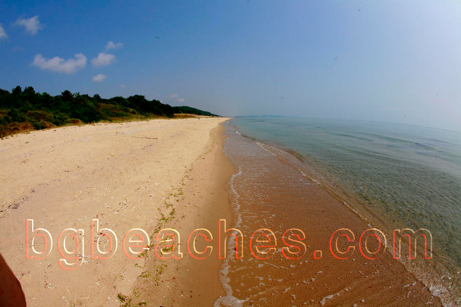Shkorpilovtsi's beach does seem endless. It is pretty much the same as the neighbouring <a href=\http://bgbeaches.com/en/Karadere/\> Karadere</a>.