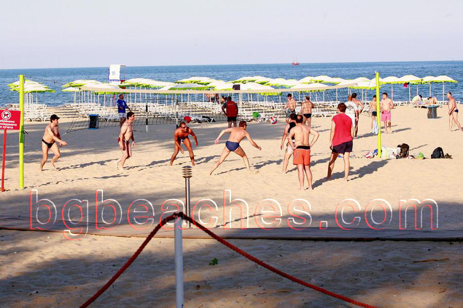 Морските гларуси играят плажен волейбол във Варна.