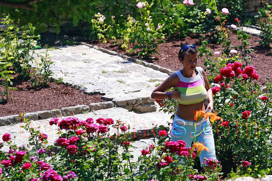 В розовата градина се отглежда и уникална синя роза. Тя променя цветовете си от наситено синьо до кралско виолетово в зависимост от киселинността на почвата.