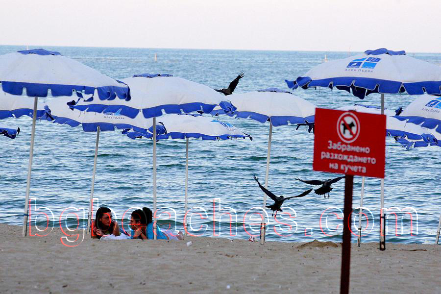 These two girls are staying on Varna's central beach in the evening and probably discussing the purpose of life :)
